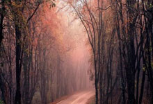 开云下载-英格兰羽毛球队完胜韩国，斯里坎特关键制胜引爆全场