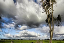 开云平台-瑞典乒乓球队轻取比利时，奥恰洛夫展现王者风采