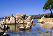 开云平台-瑞典乒乓球队轻取比利时，奥恰洛夫展现王者风采